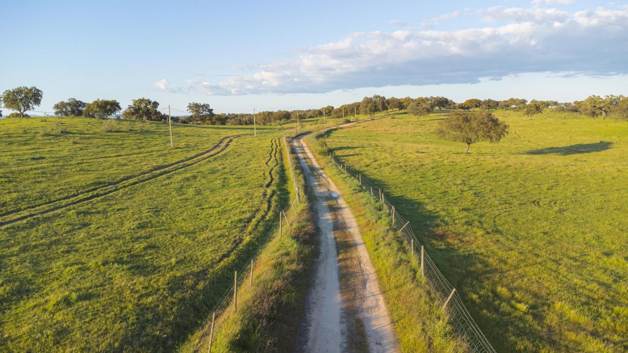 Herdade Do Charito Элваш Экстерьер фото